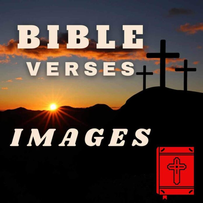 bible verses featured image_1