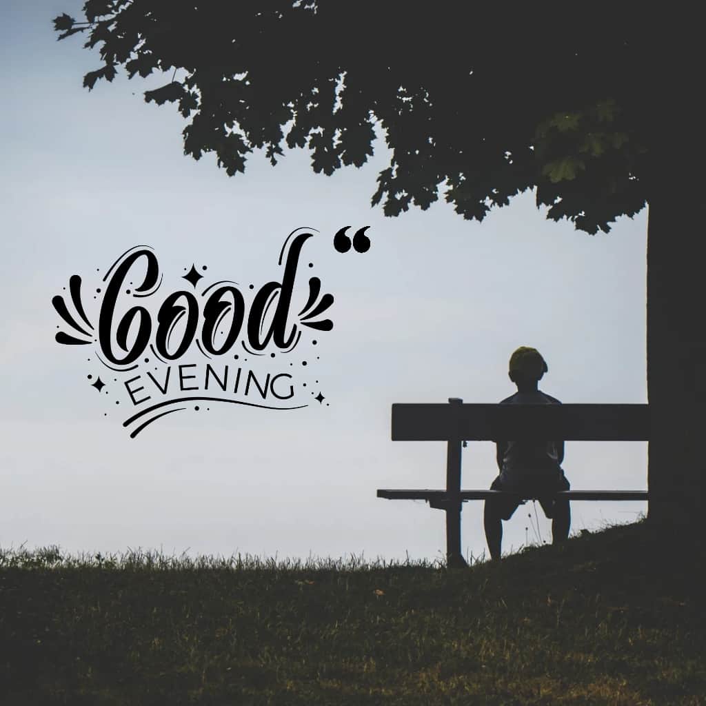 Back view of a boy sitting on a garden under the tree, good evening image.