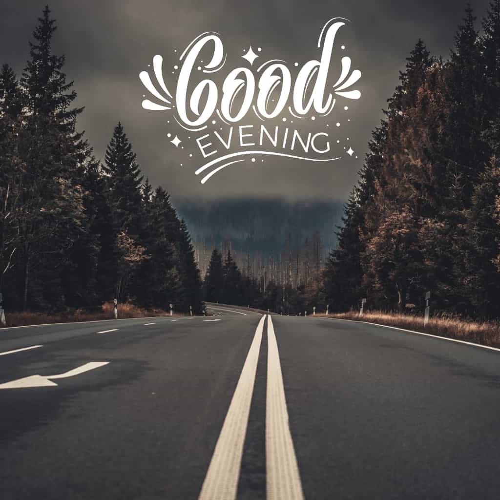 Beautiful strait road in between the trees, good evening image.