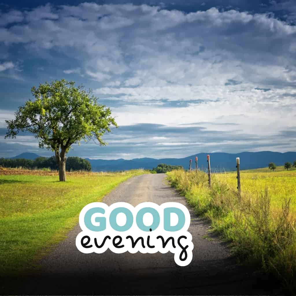 A narrow road, a big tree and mountain view blue sky good evening image.