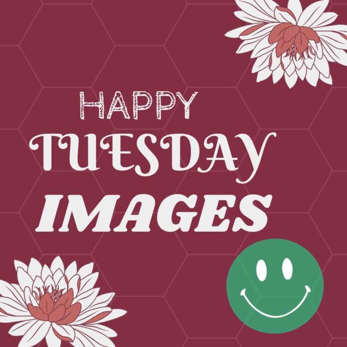 happy Tuesday featured image