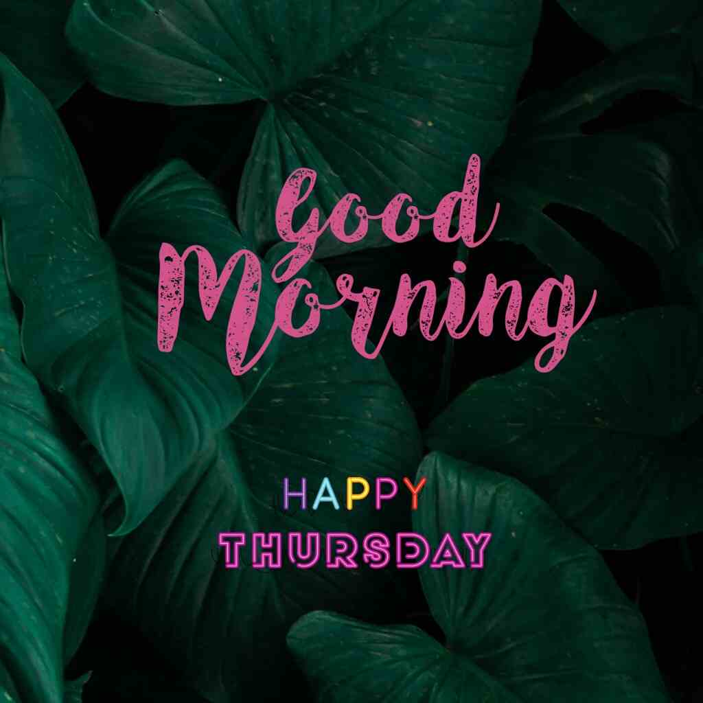 Good morning happy Thursday images with big green leaves on the background.