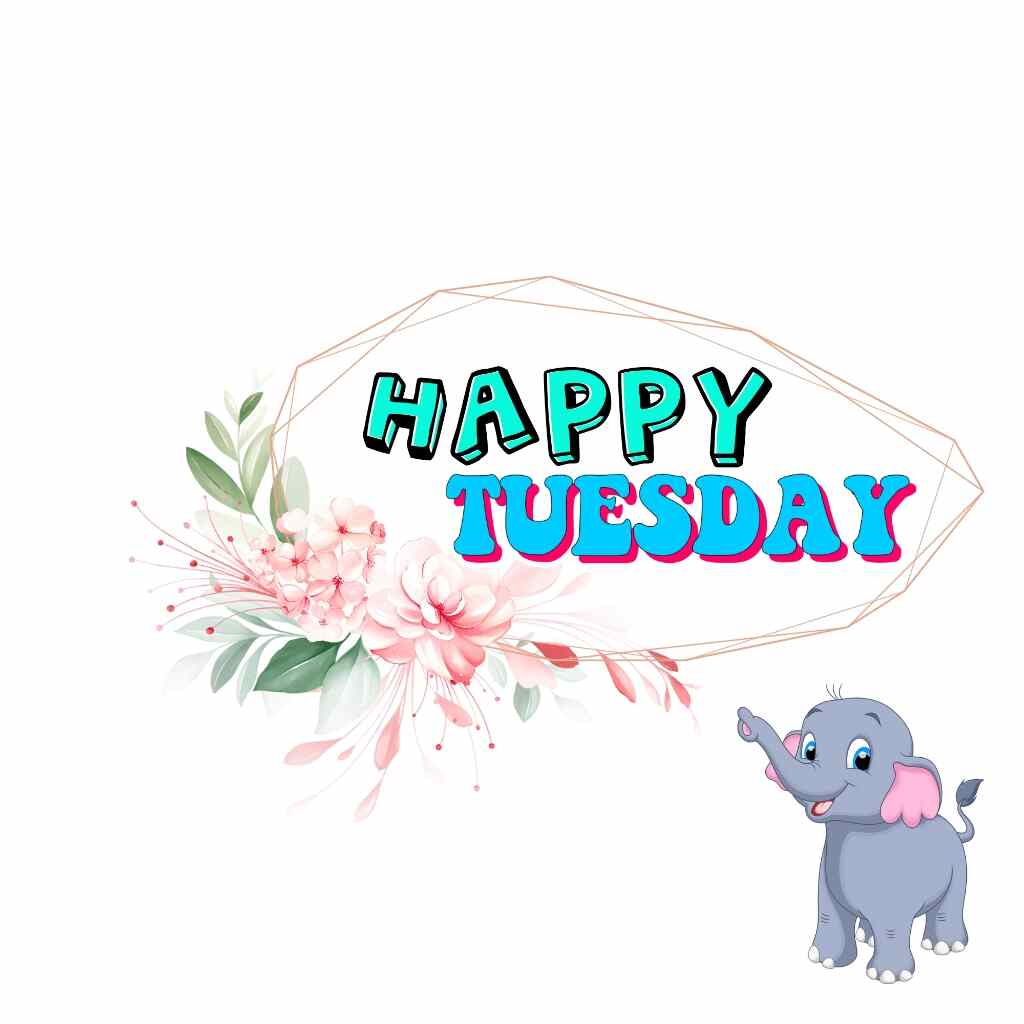 pink background with baby elephant happy tuesday image.