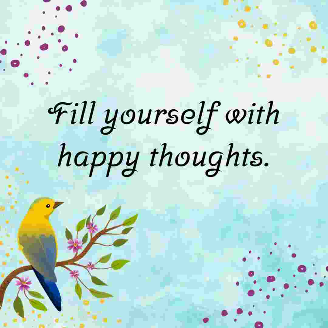 Fill yourself with happy thoughts with a bird whatsapp status images.